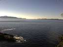 ./images/koeye/fitz-hugh/20141112/fitz-hugh20141112_122503.jpg