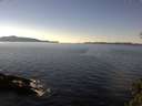 ./images/koeye/fitz-hugh/20141113/fitz-hugh20141113_122502.jpg