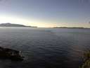 ./images/koeye/fitz-hugh/20141113/fitz-hugh20141113_123003.jpg