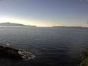 ./images/koeye/fitz-hugh/20141114/fitz-hugh20141114_122002.jpg