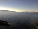 ./images/koeye/fitz-hugh/20141116/fitz-hugh20141116_122001.jpg