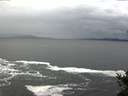 ./images/koeye/fitz-hugh/20141122/fitz-hugh20141122_132401.jpg