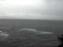 ./images/koeye/fitz-hugh/20141122/fitz-hugh20141122_133602.jpg