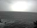 ./images/koeye/fitz-hugh/20141122/fitz-hugh20141122_142103.jpg