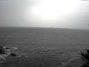 ./images/koeye/fitz-hugh/20141122/fitz-hugh20141122_142402.jpg