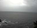 ./images/koeye/fitz-hugh/20141122/fitz-hugh20141122_143302.jpg