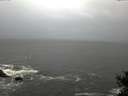 ./images/koeye/fitz-hugh/20141122/fitz-hugh20141122_144202.jpg