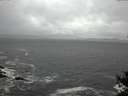 ./images/koeye/fitz-hugh/20141122/fitz-hugh20141122_145103.jpg