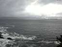 ./images/koeye/fitz-hugh/20141122/fitz-hugh20141122_145403.jpg