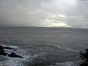 ./images/koeye/fitz-hugh/20141122/fitz-hugh20141122_160302.jpg