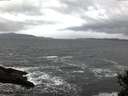./images/koeye/fitz-hugh/20141124/fitz-hugh20141124_080302.jpg