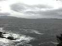 ./images/koeye/fitz-hugh/20141124/fitz-hugh20141124_100302.jpg