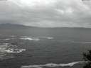./images/koeye/fitz-hugh/20141124/fitz-hugh20141124_121803.jpg