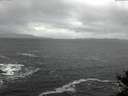 ./images/koeye/fitz-hugh/20141124/fitz-hugh20141124_122703.jpg