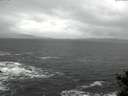 ./images/koeye/fitz-hugh/20141124/fitz-hugh20141124_123303.jpg