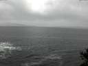 ./images/koeye/fitz-hugh/20141124/fitz-hugh20141124_140303.jpg
