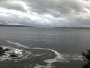 ./images/koeye/fitz-hugh/20141124/fitz-hugh20141124_160301.jpg
