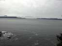 ./images/koeye/fitz-hugh/20141125/fitz-hugh20141125_120303.jpg