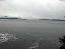 ./images/koeye/fitz-hugh/20141125/fitz-hugh20141125_122102.jpg