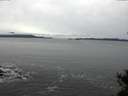 ./images/koeye/fitz-hugh/20141125/fitz-hugh20141125_122701.jpg