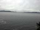 ./images/koeye/fitz-hugh/20141125/fitz-hugh20141125_140302.jpg