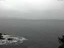 ./images/koeye/fitz-hugh/20141126/fitz-hugh20141126_120302.jpg