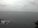 ./images/koeye/fitz-hugh/20141126/fitz-hugh20141126_122703.jpg