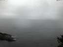 ./images/koeye/fitz-hugh/20141127/fitz-hugh20141127_080302.jpg