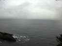 ./images/koeye/fitz-hugh/20141127/fitz-hugh20141127_100303.jpg