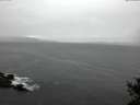 ./images/koeye/fitz-hugh/20141127/fitz-hugh20141127_122702.jpg