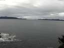 ./images/koeye/fitz-hugh/20141127/fitz-hugh20141127_140303.jpg