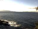 ./images/koeye/fitz-hugh/20141128/fitz-hugh20141128_121802.jpg