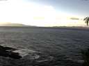 ./images/koeye/fitz-hugh/20141128/fitz-hugh20141128_123302.jpg