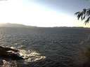./images/koeye/fitz-hugh/20141129/fitz-hugh20141129_140302.jpg