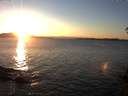 ./images/koeye/fitz-hugh/20141129/fitz-hugh20141129_160302.jpg
