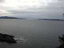 ./images/koeye/fitz-hugh/20141130/fitz-hugh20141130_160301.jpg