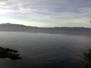 ./images/koeye/fitz-hugh/20141202/fitz-hugh20141202_122703.jpg