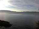./images/koeye/fitz-hugh/20141202/fitz-hugh20141202_140302.jpg