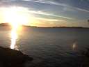./images/koeye/fitz-hugh/20141202/fitz-hugh20141202_160302.jpg