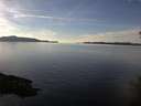 ./images/koeye/fitz-hugh/20141203/fitz-hugh20141203_140301.jpg