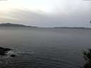 ./images/koeye/fitz-hugh/20141204/fitz-hugh20141204_080301.jpg