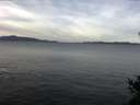 ./images/koeye/fitz-hugh/20141204/fitz-hugh20141204_100303.jpg