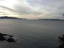 ./images/koeye/fitz-hugh/20141204/fitz-hugh20141204_140302.jpg
