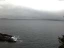 ./images/koeye/fitz-hugh/20141206/fitz-hugh20141206_080302.jpg