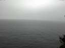 ./images/koeye/fitz-hugh/20141206/fitz-hugh20141206_120302.jpg
