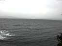 ./images/koeye/fitz-hugh/20141208/fitz-hugh20141208_120303.jpg
