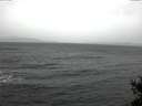 ./images/koeye/fitz-hugh/20141208/fitz-hugh20141208_121802.jpg