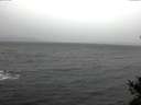 ./images/koeye/fitz-hugh/20141208/fitz-hugh20141208_122403.jpg