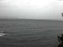 ./images/koeye/fitz-hugh/20141208/fitz-hugh20141208_122702.jpg