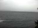 ./images/koeye/fitz-hugh/20141208/fitz-hugh20141208_123303.jpg